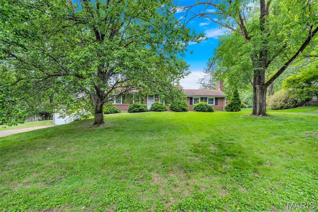 425 Bush Drive